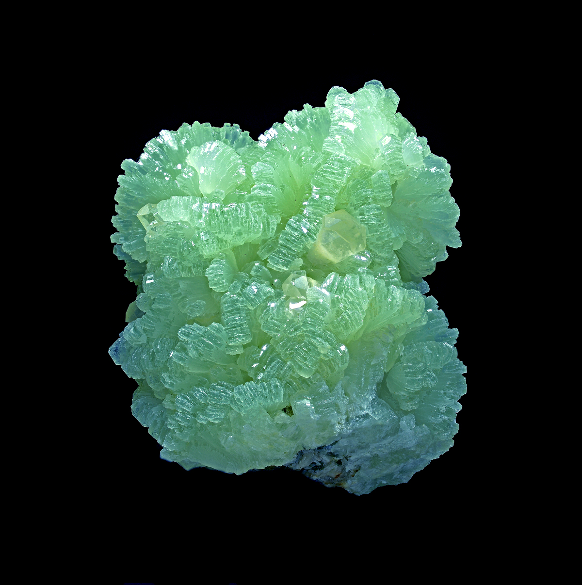 Prehnite