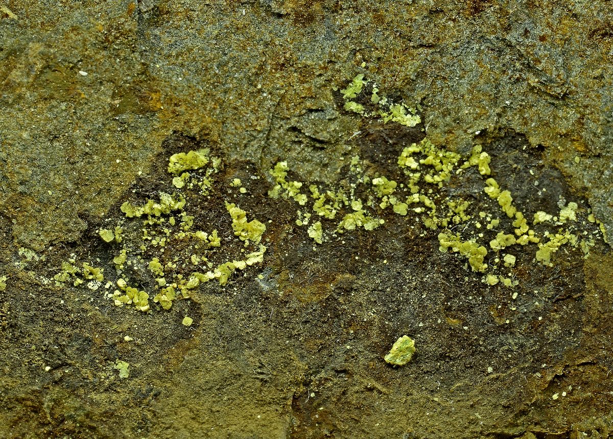 Autunite