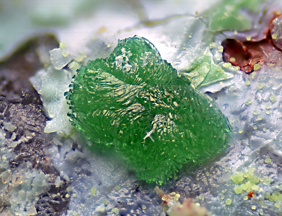 Goldhillite & Zincolivenite & Aurichalcite