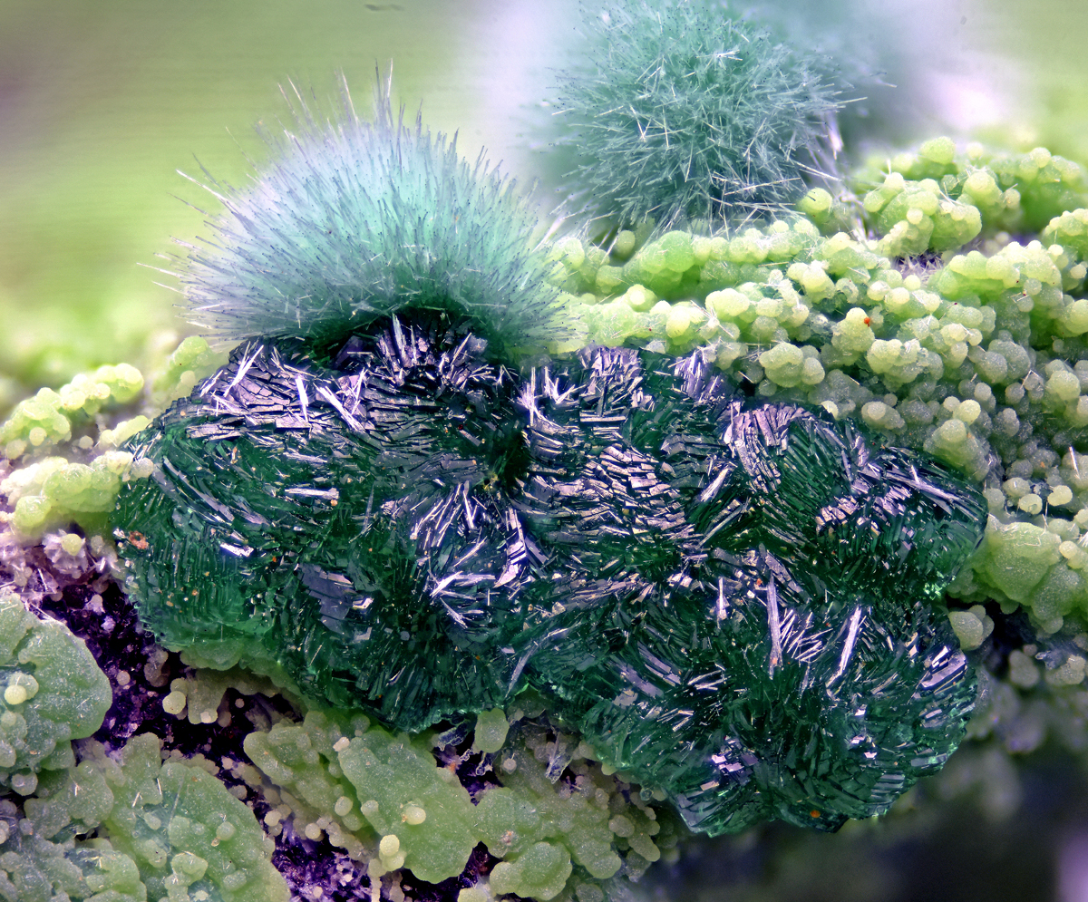 Goldhillite Zincolivenite & Aurichalcite