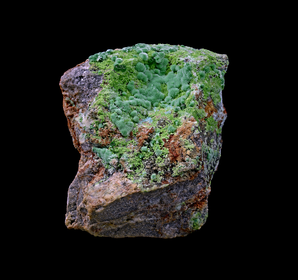 Goldhillite Zincolivenite & Aurichalcite