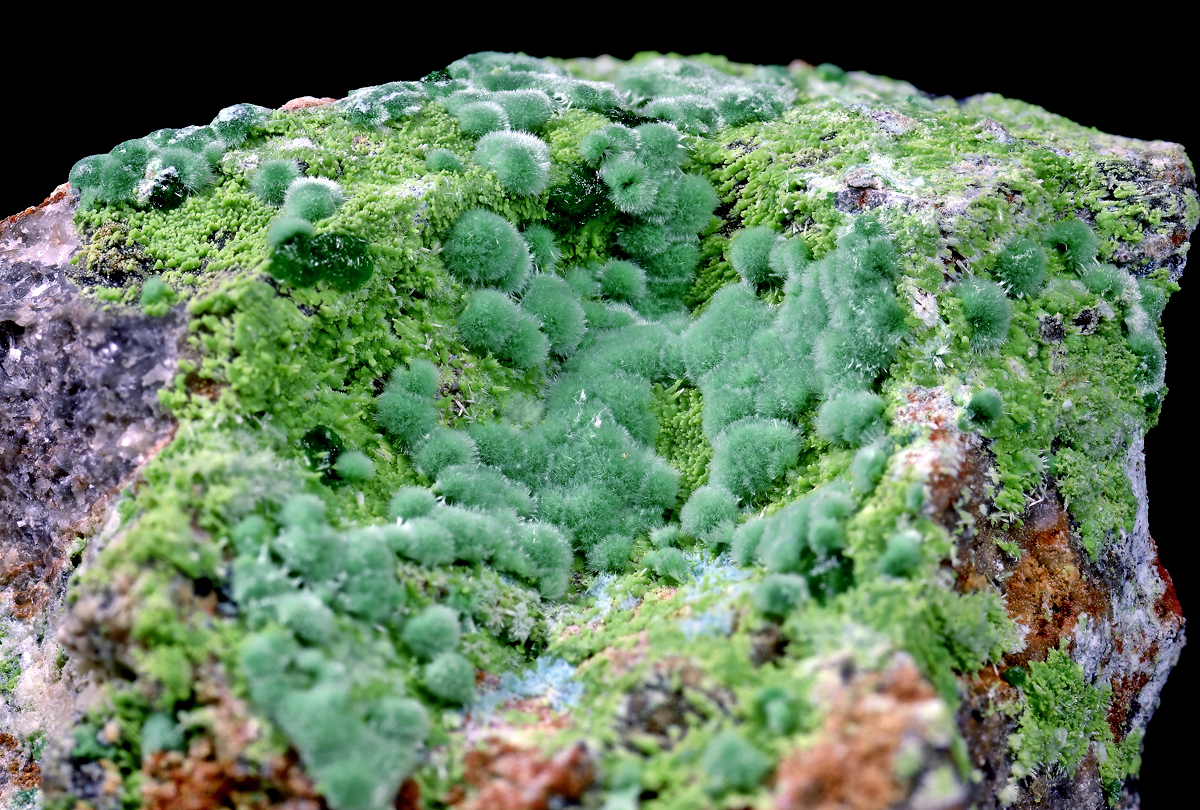 Goldhillite Zincolivenite & Aurichalcite