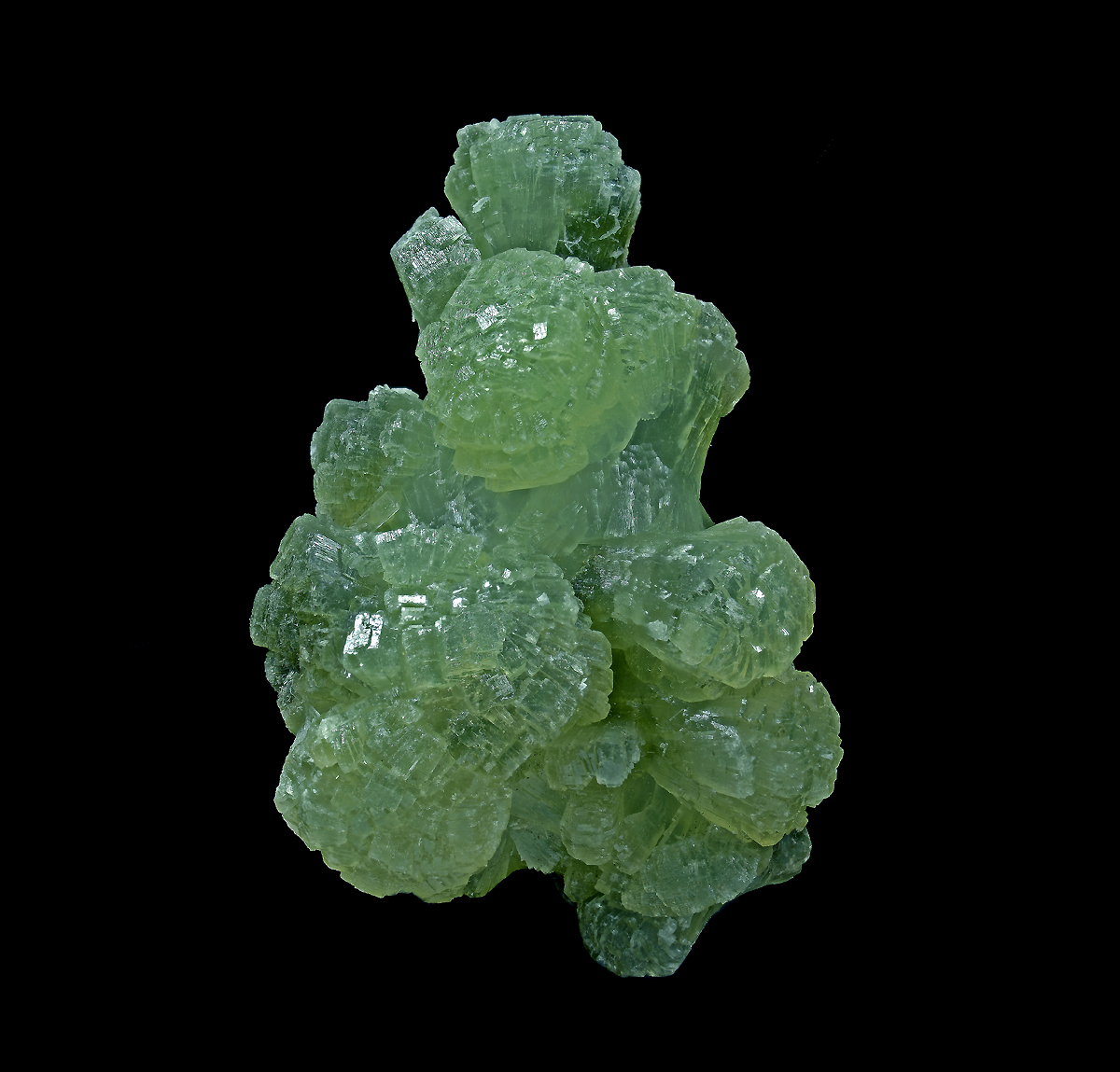 Prehnite & Actinolite