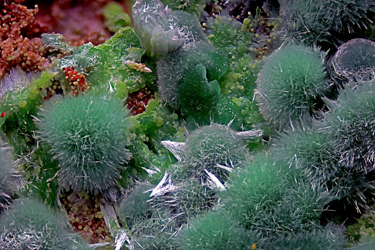 Goldhillite Zincolivenite & Aurichalcite