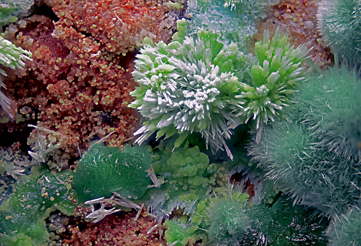 Goldhillite Zincolivenite & Aurichalcite