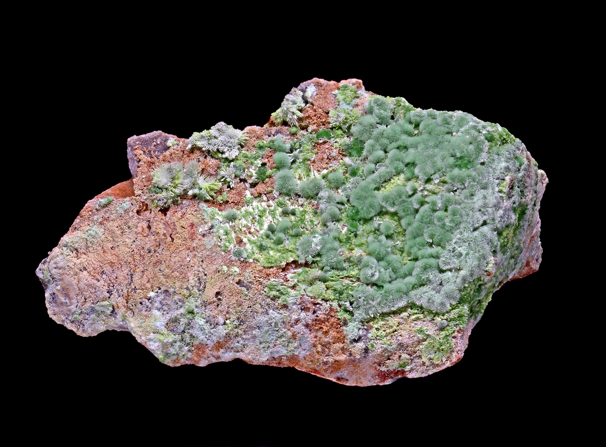 Goldhillite Zincolivenite & Aurichalcite