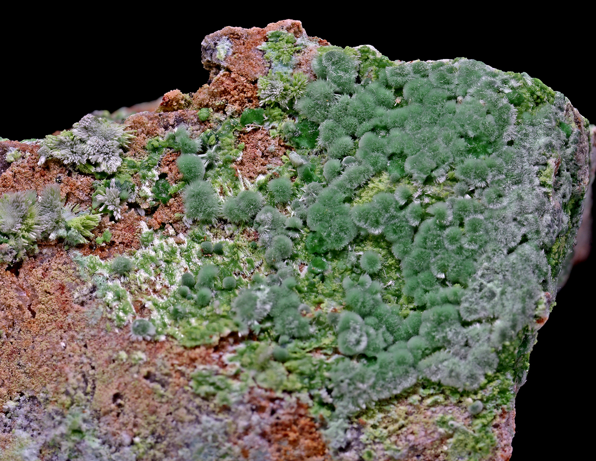 Goldhillite Zincolivenite & Aurichalcite