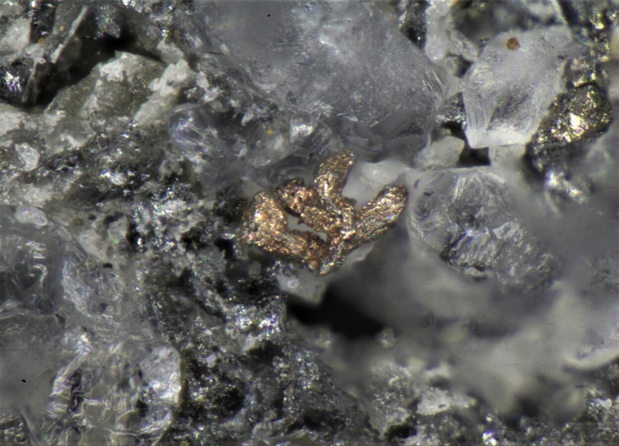 Tellurium Spiroffite & Silver