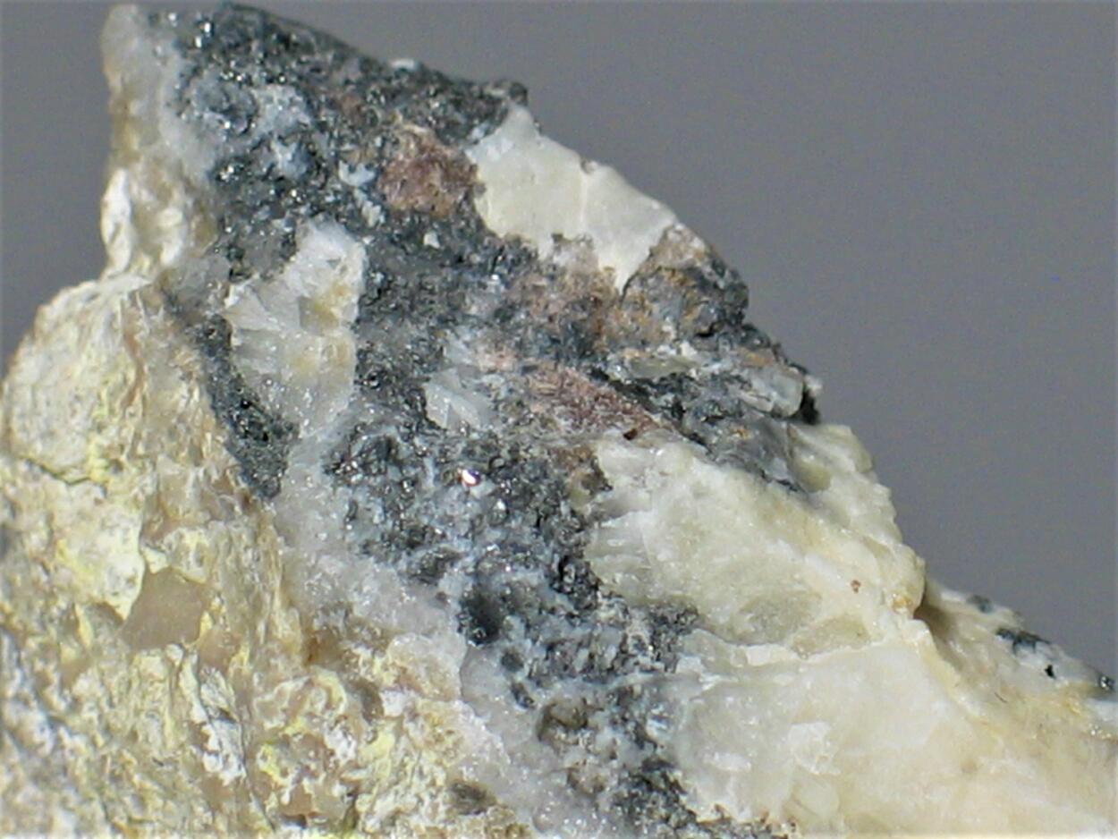 Tellurium Spiroffite & Silver