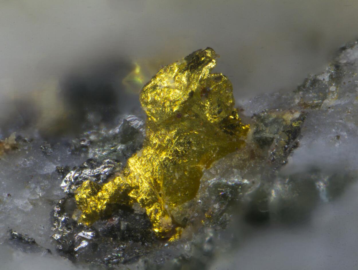 Gold & Tetradymite