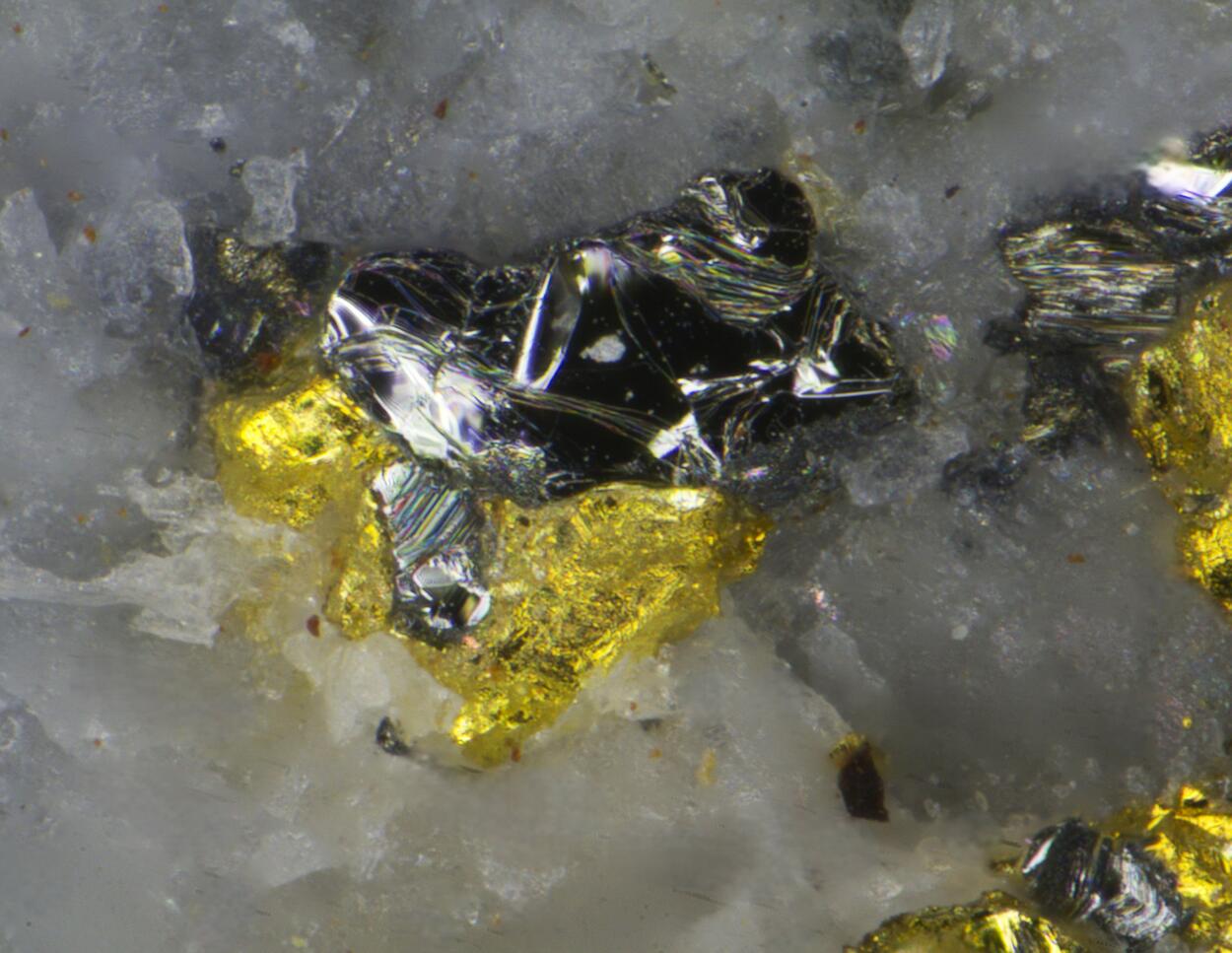 Gold & Tetradymite