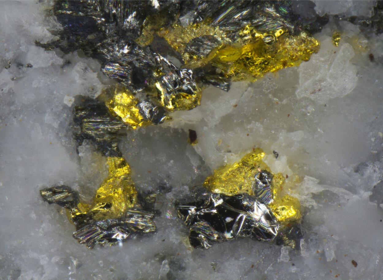 Gold & Tetradymite