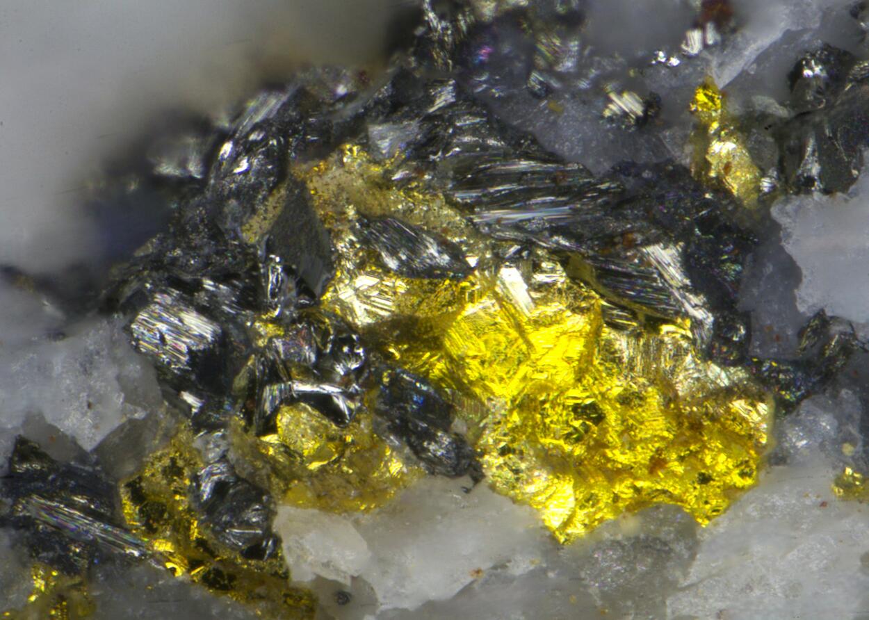 Gold & Tetradymite