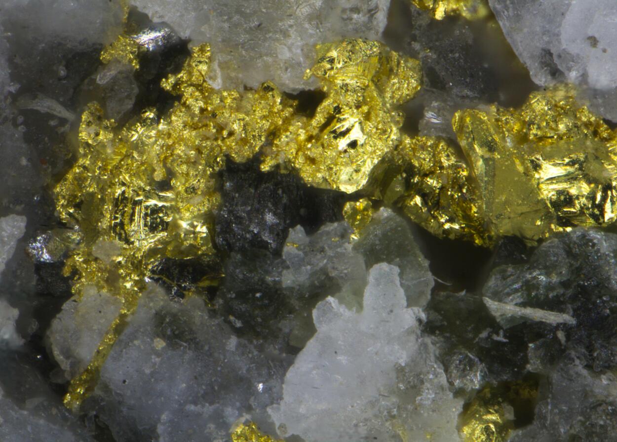 Gold & Cosalite