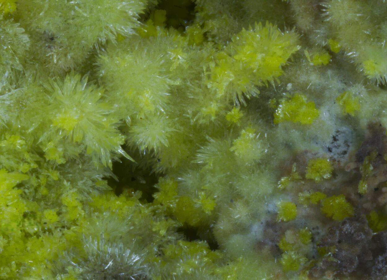 Parsonsite & Zeunerite On Pyromorphite