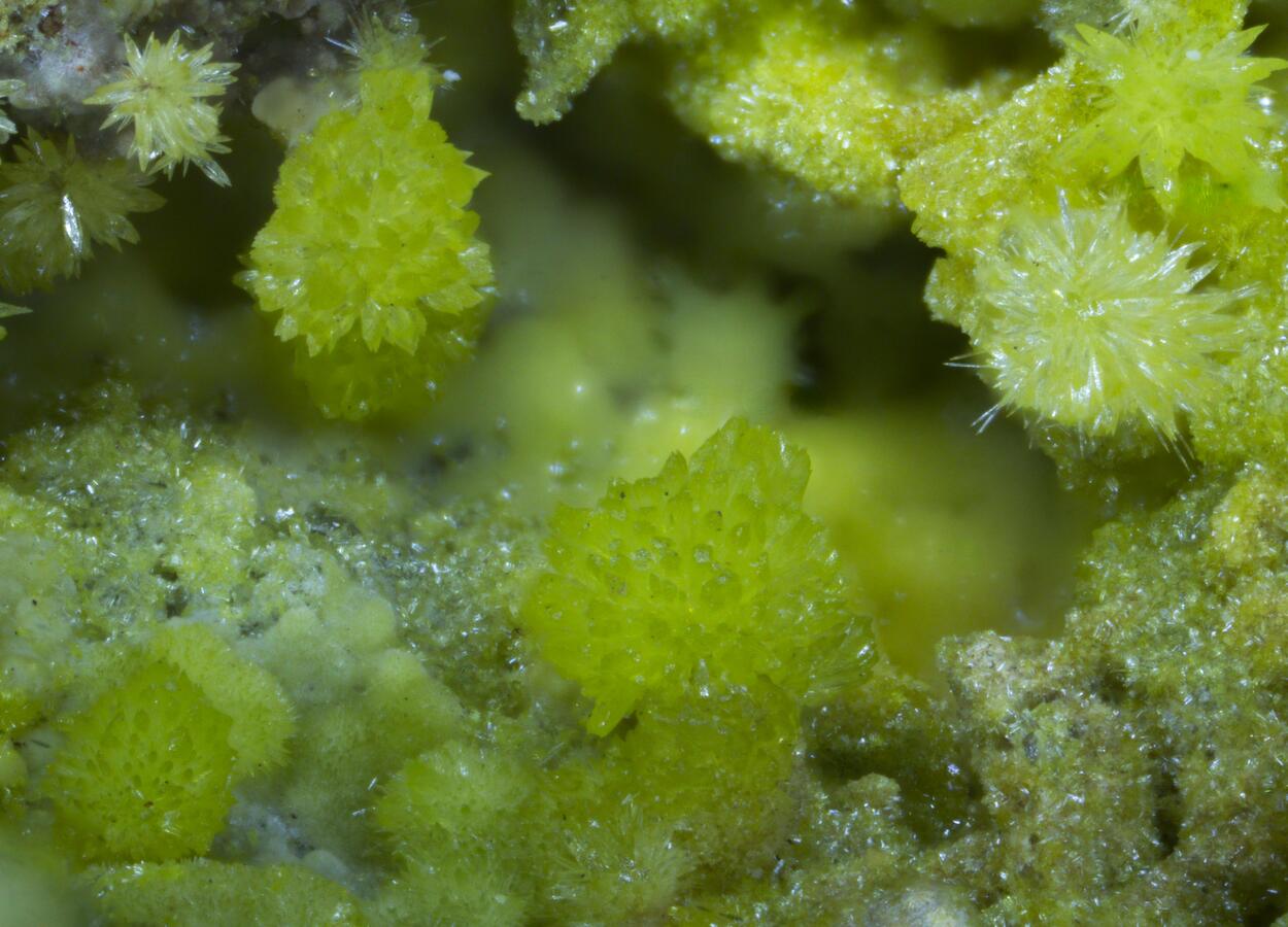 Parsonsite & Zeunerite On Pyromorphite