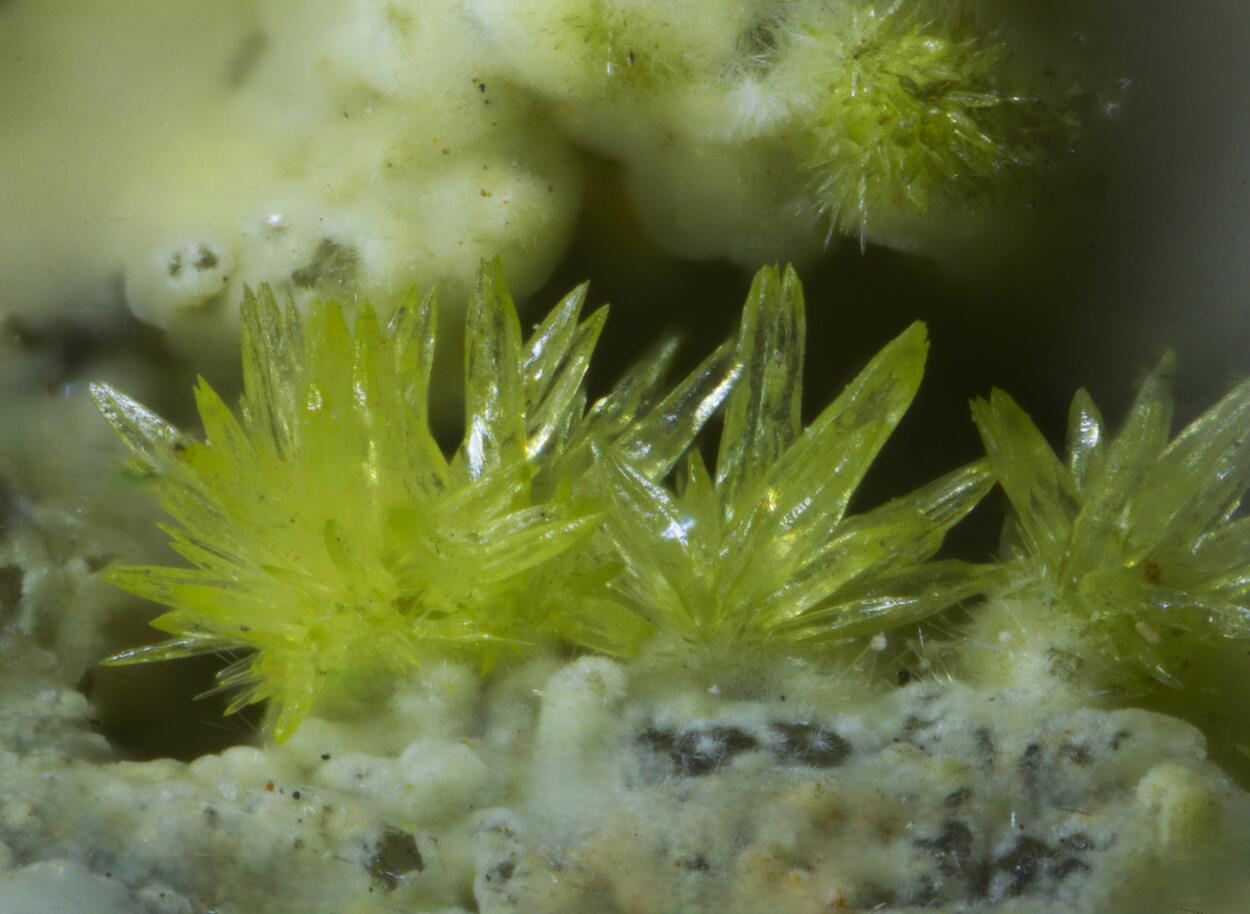 Parsonsite & Zeunerite On Pyromorphite