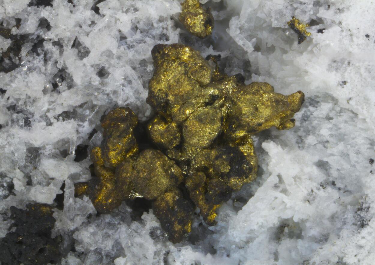 Gold & Argyrodite