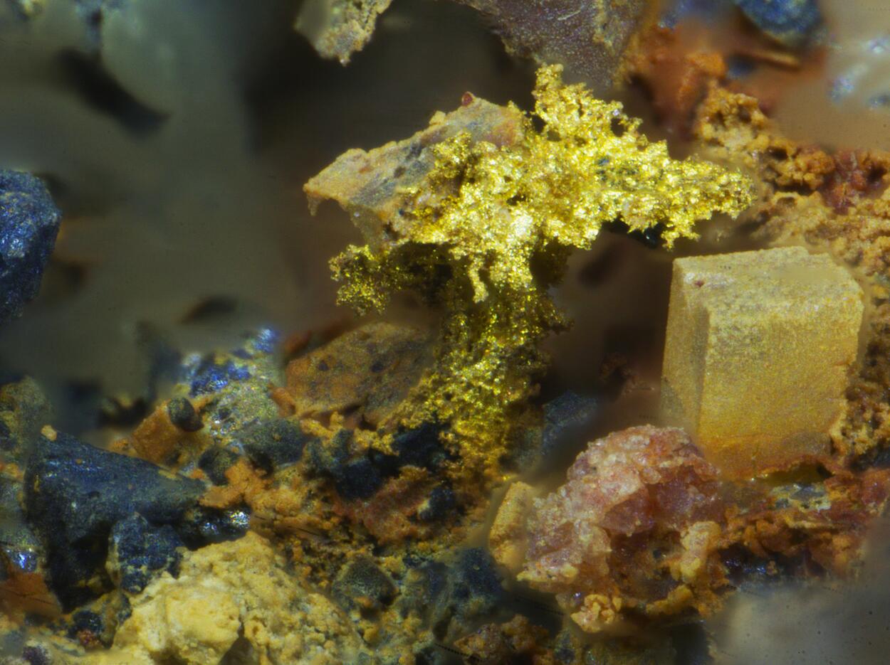 Gold & Uraninite