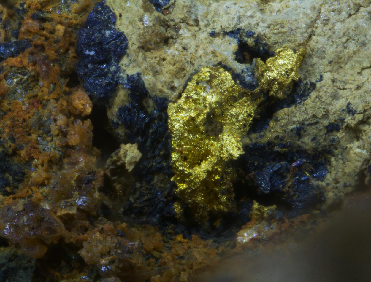 Gold & Uraninite