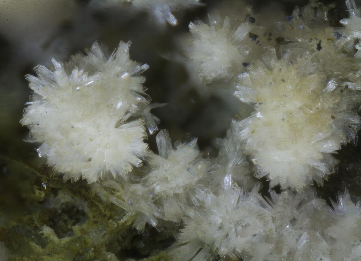 Kingsmountite Fairfieldite Jahnsite & Mitridatite