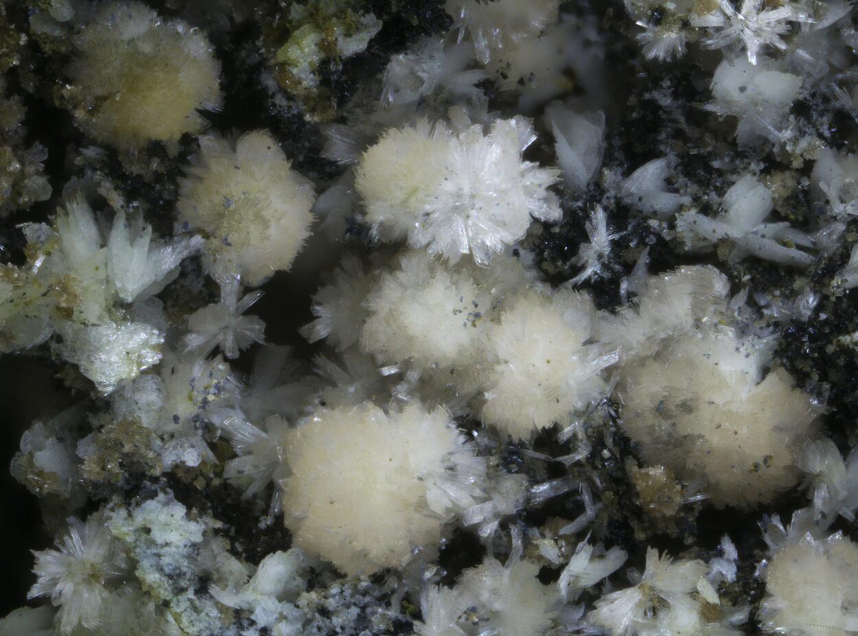 Kingsmountite Fairfieldite Jahnsite & Mitridatite