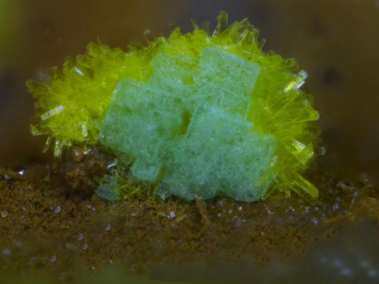 Phosphuranylite Torbernite & Billietite