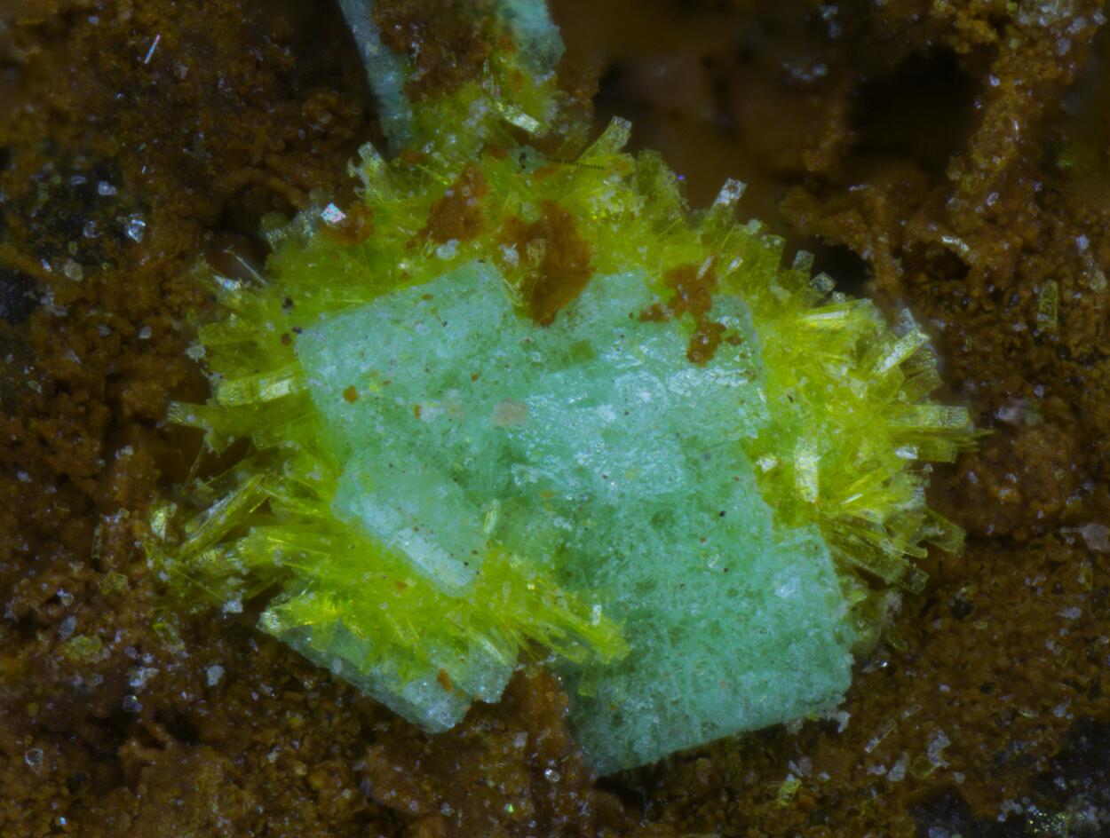 Phosphuranylite Torbernite & Billietite