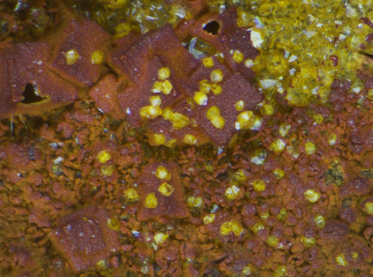 Phosphuranylite Torbernite & Billietite