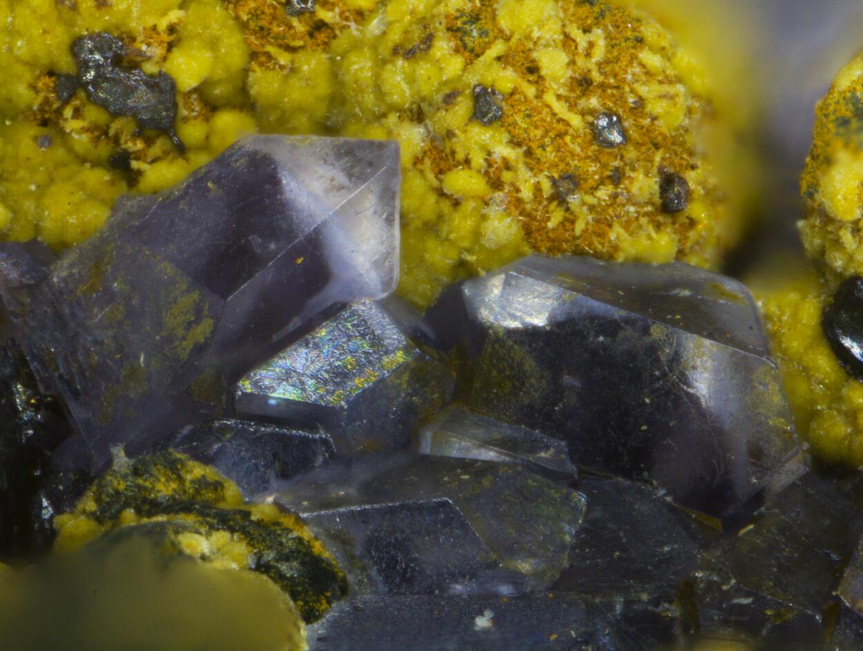 Strengite & Rockbridgeite