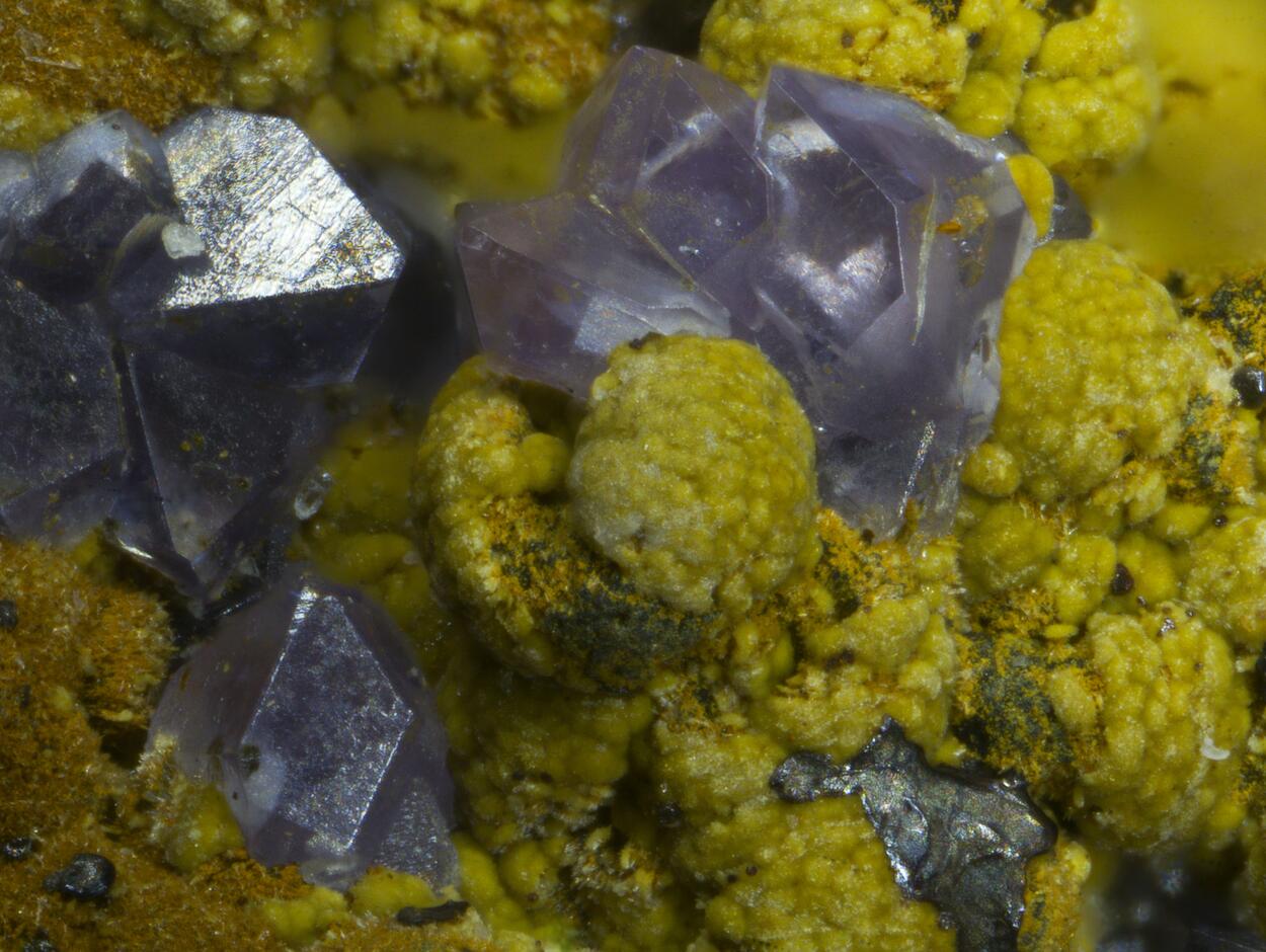 Strengite & Rockbridgeite