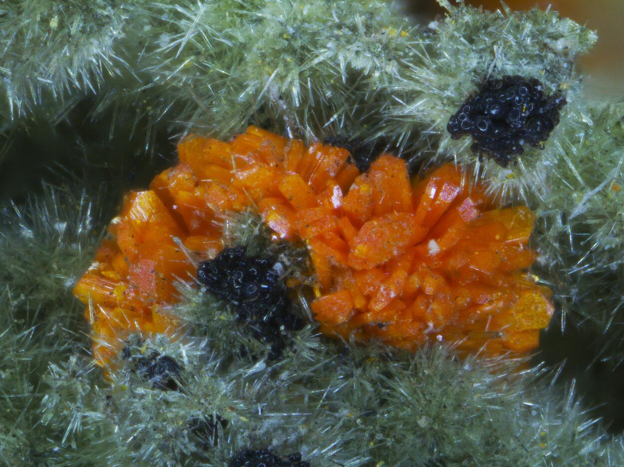 Wölsendorfite Rutherfordine Curite Uranophane