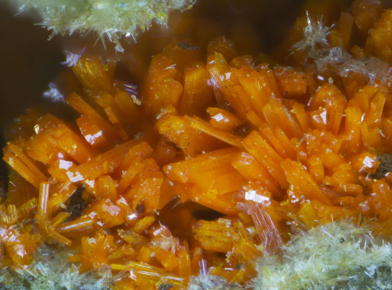 Wölsendorfite Rutherfordine Curite Uranophane