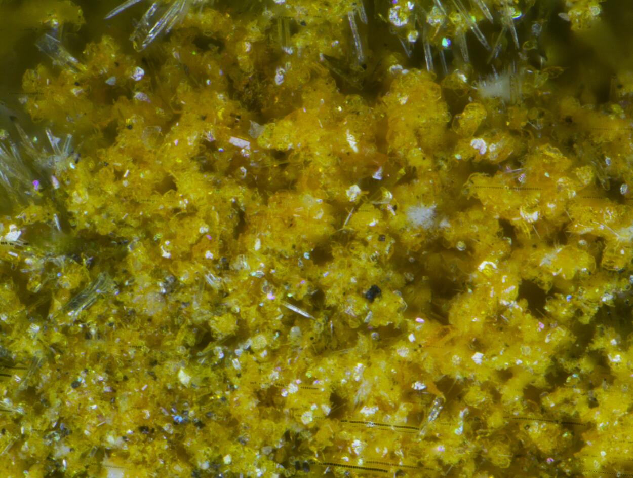 Wölsendorfite Rutherfordine Curite Uranophane