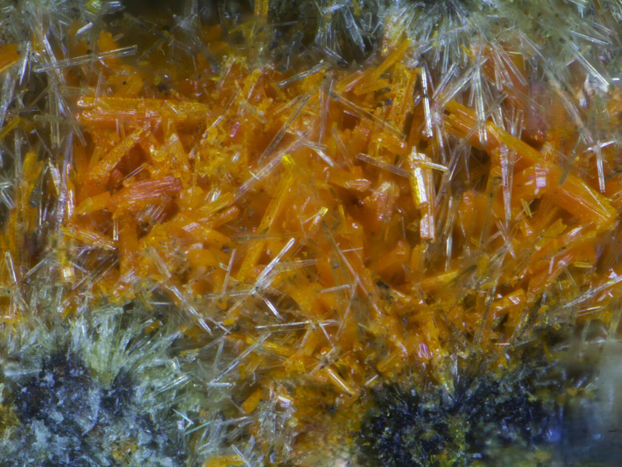 Wölsendorfite Rutherfordine Curite Uranophane