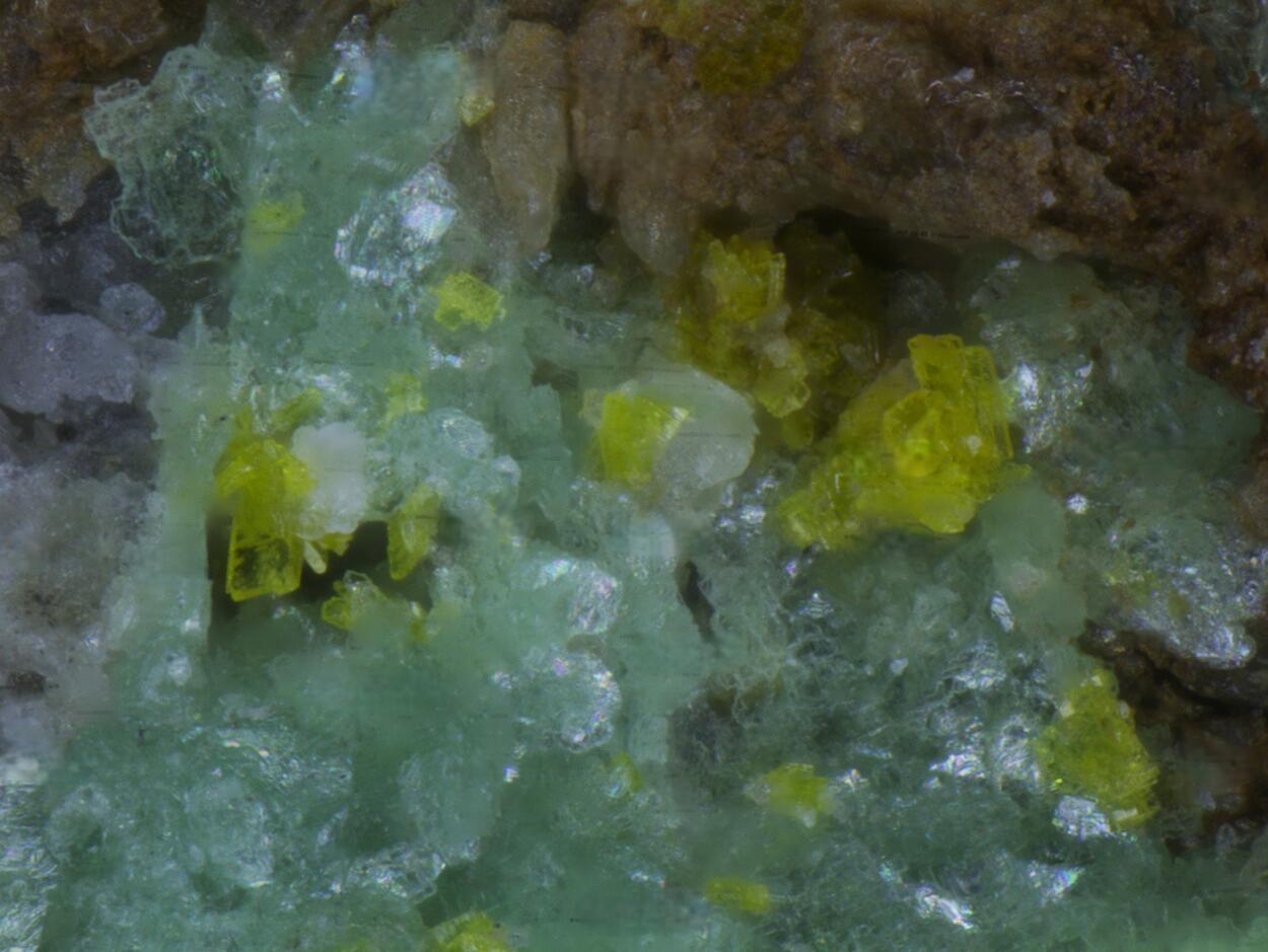 Renardite & Saléeite