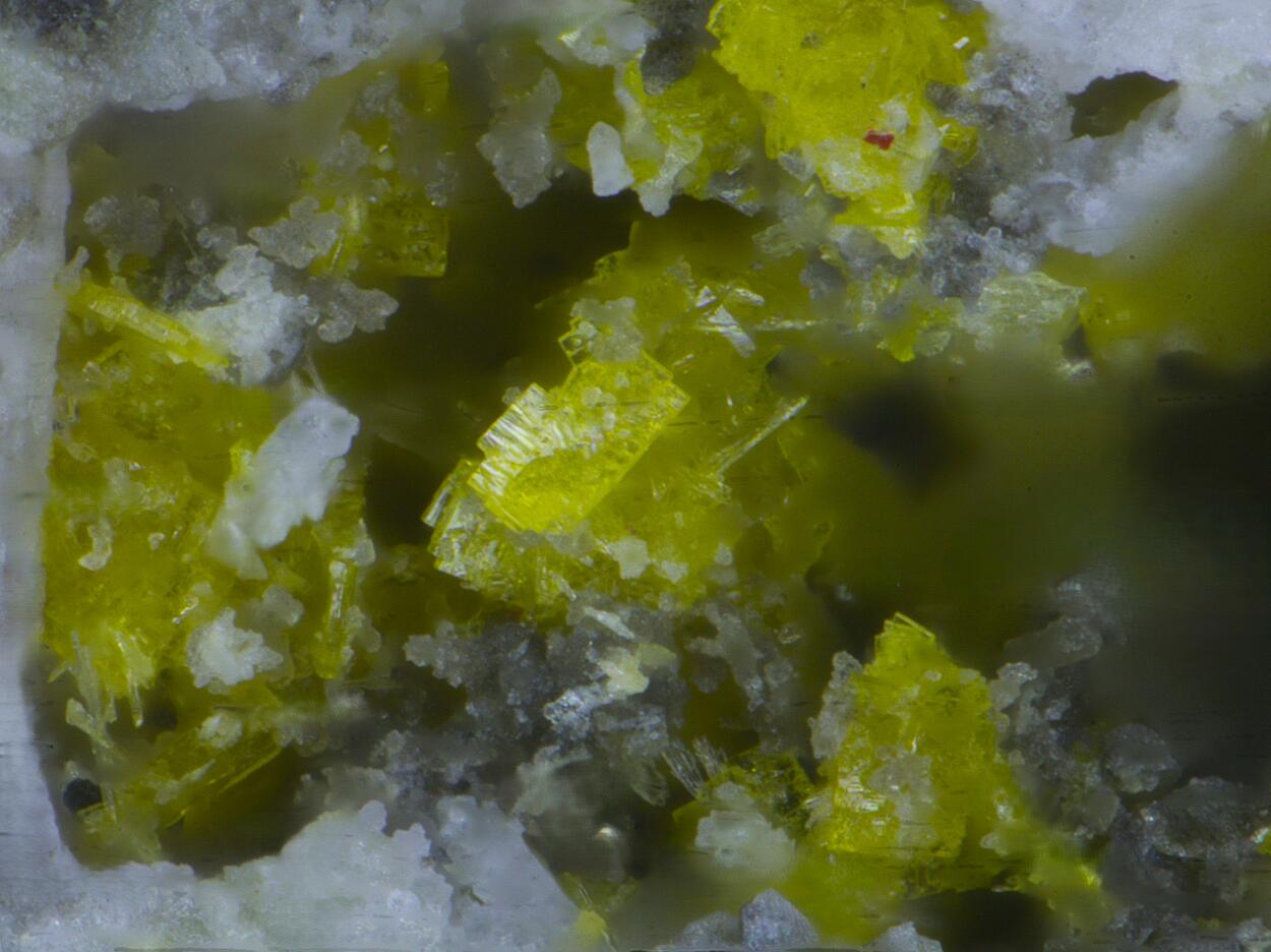 Renardite & Saléeite