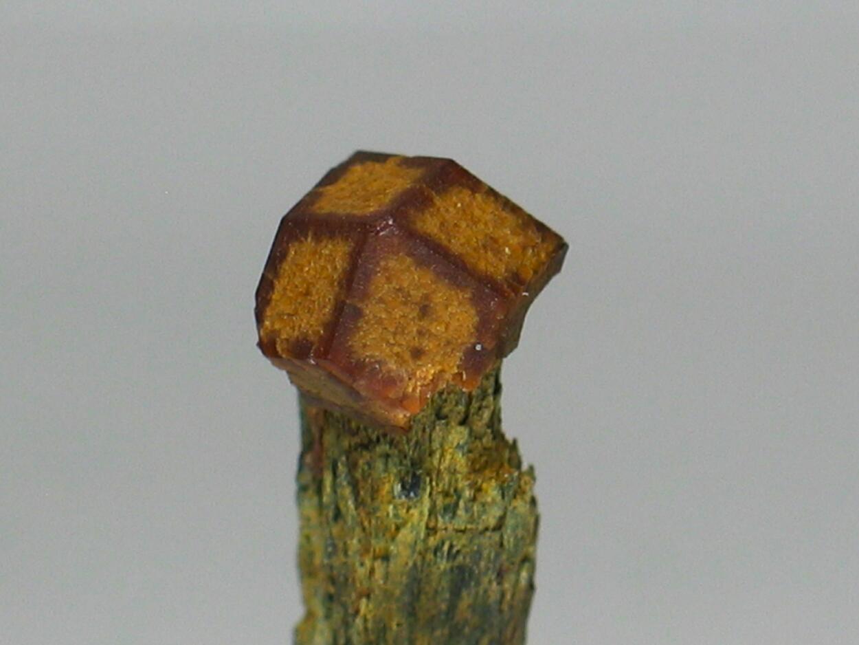 Andradite On Hedenbergite