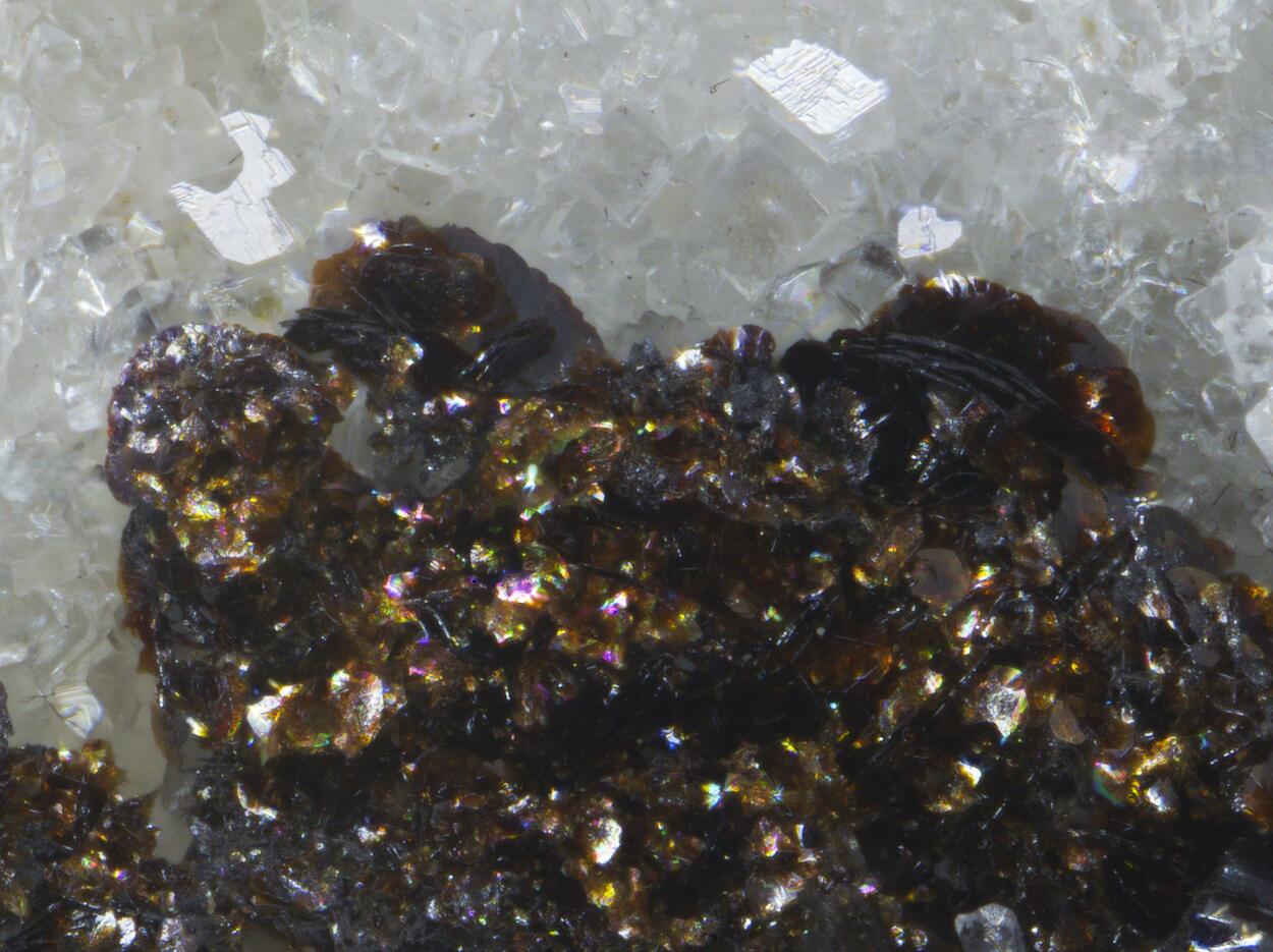 Imhofite Seligmannite & Hutchinsonite