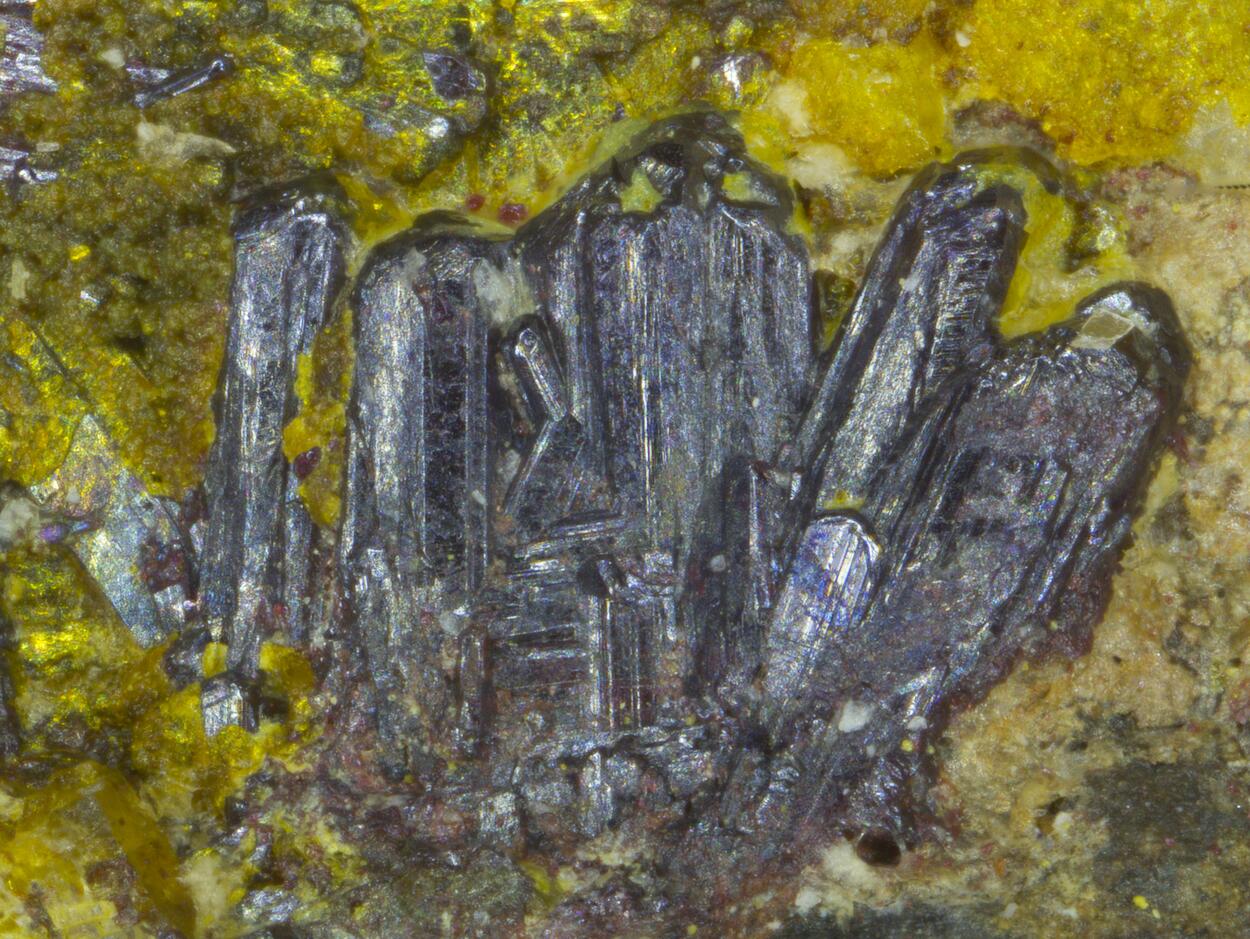 Parasymplesite & Proustite