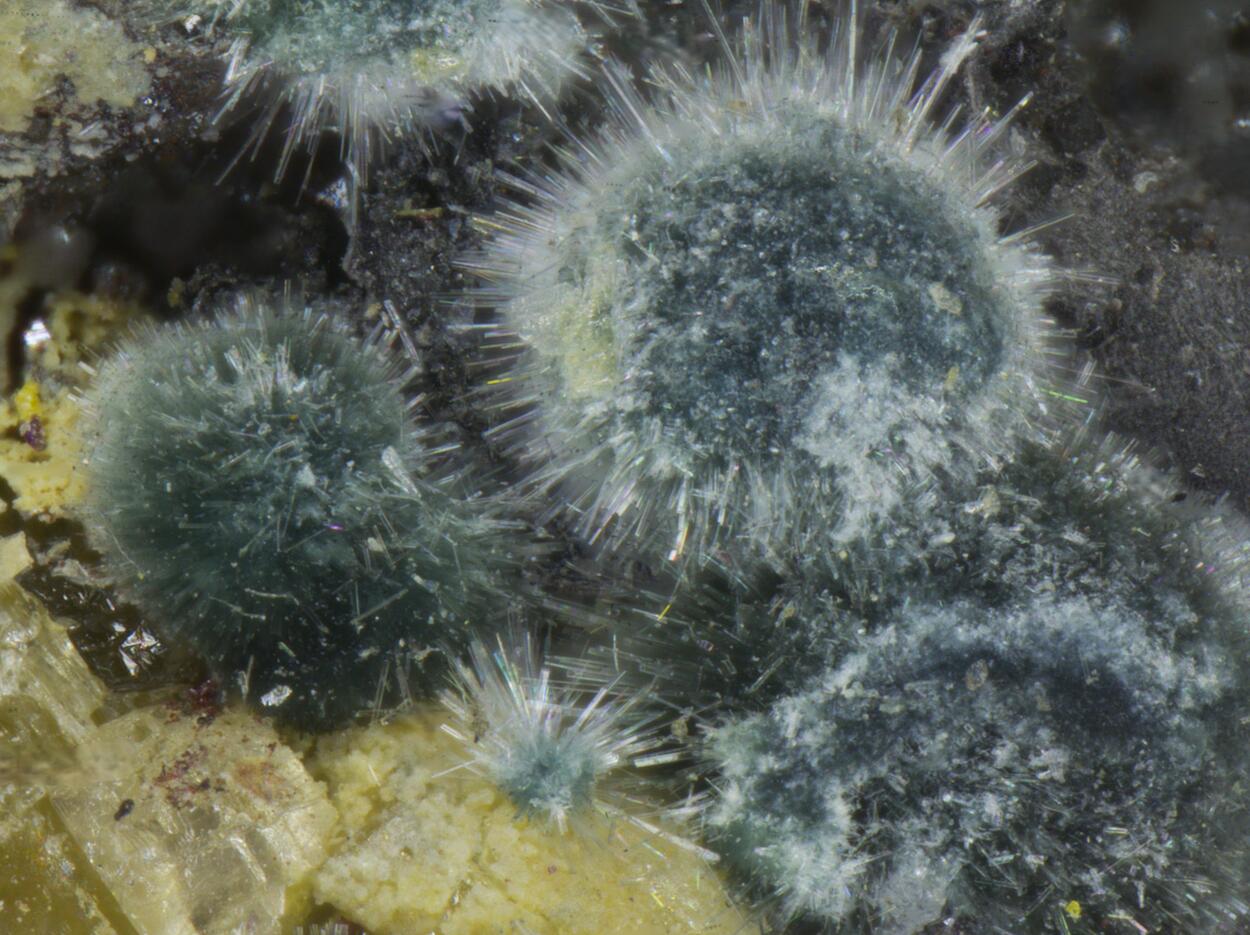 Parasymplesite & Proustite