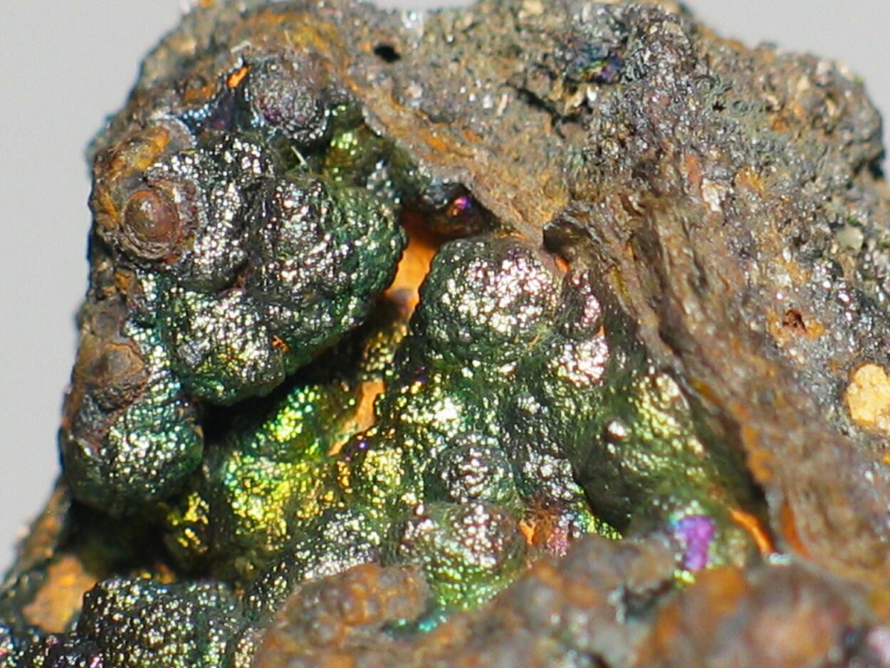 Limonite Var Glaskopf