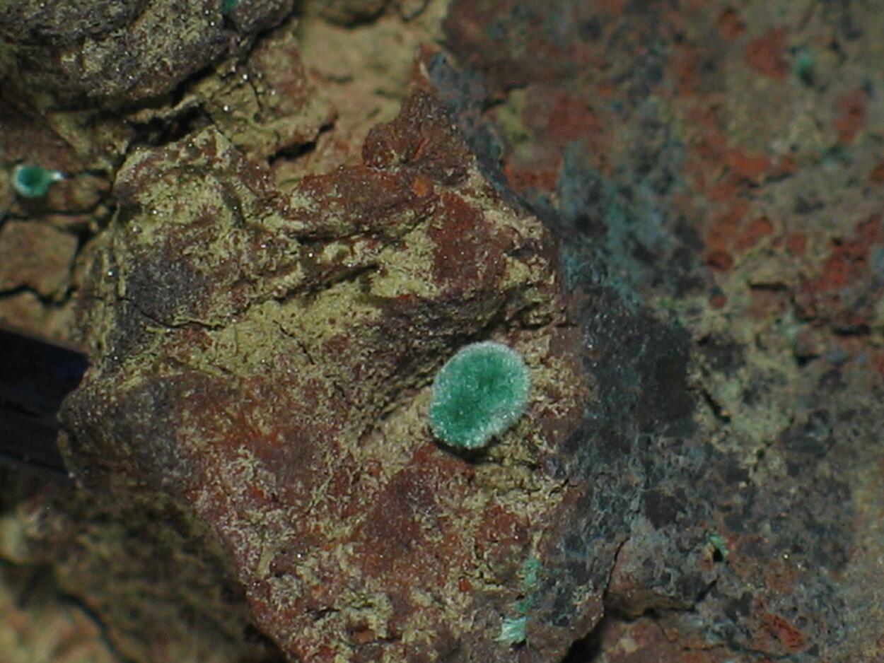 Azurite On Copper