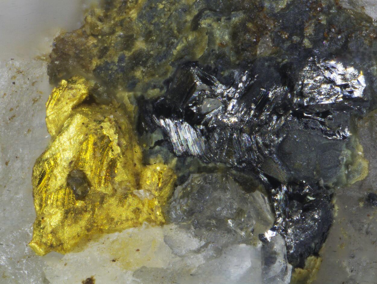 Gold & Tetradymite