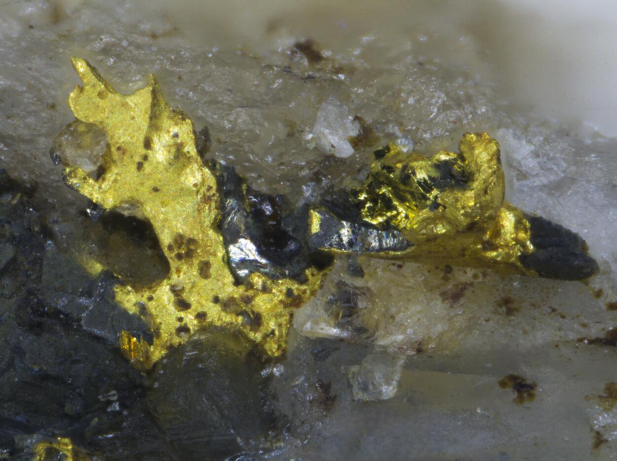 Gold & Tetradymite