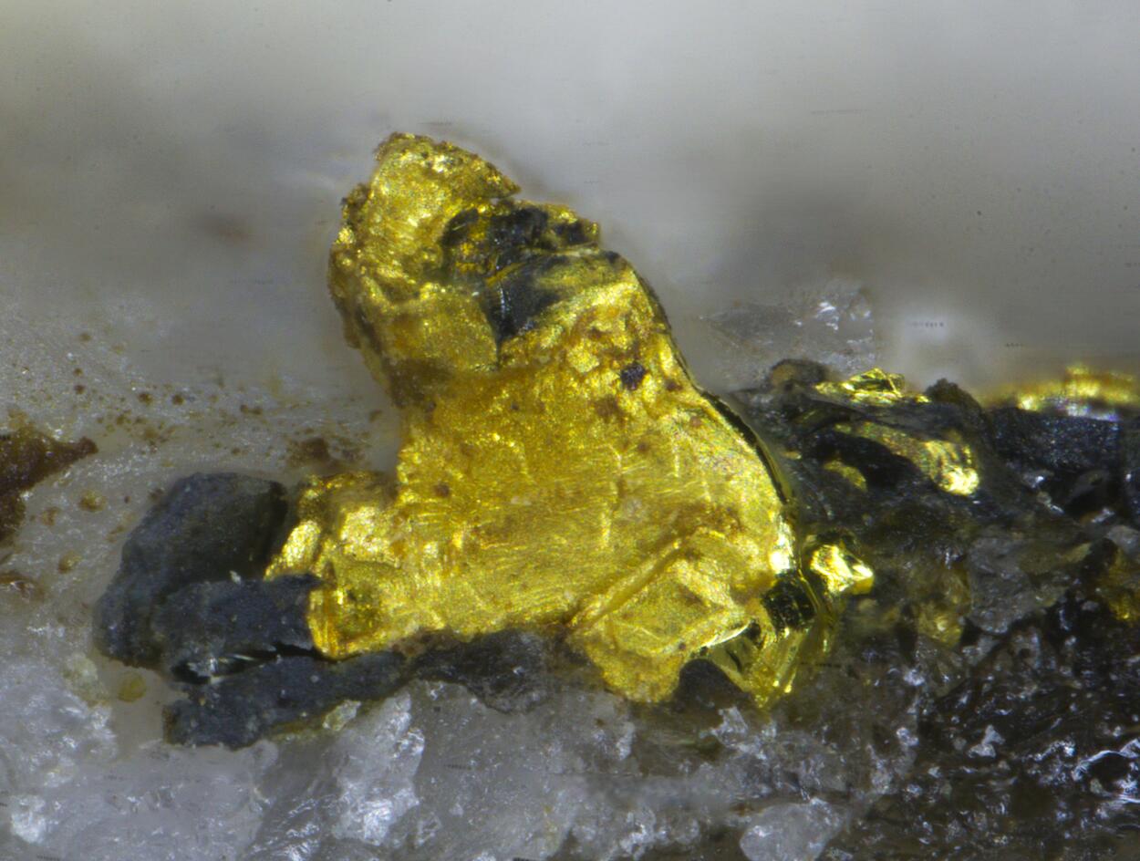 Gold & Tetradymite