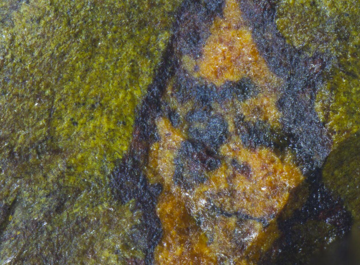 Rameauite & Schoepite