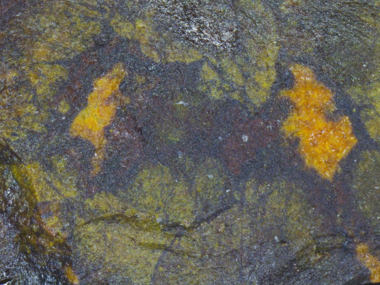 Rameauite & Schoepite