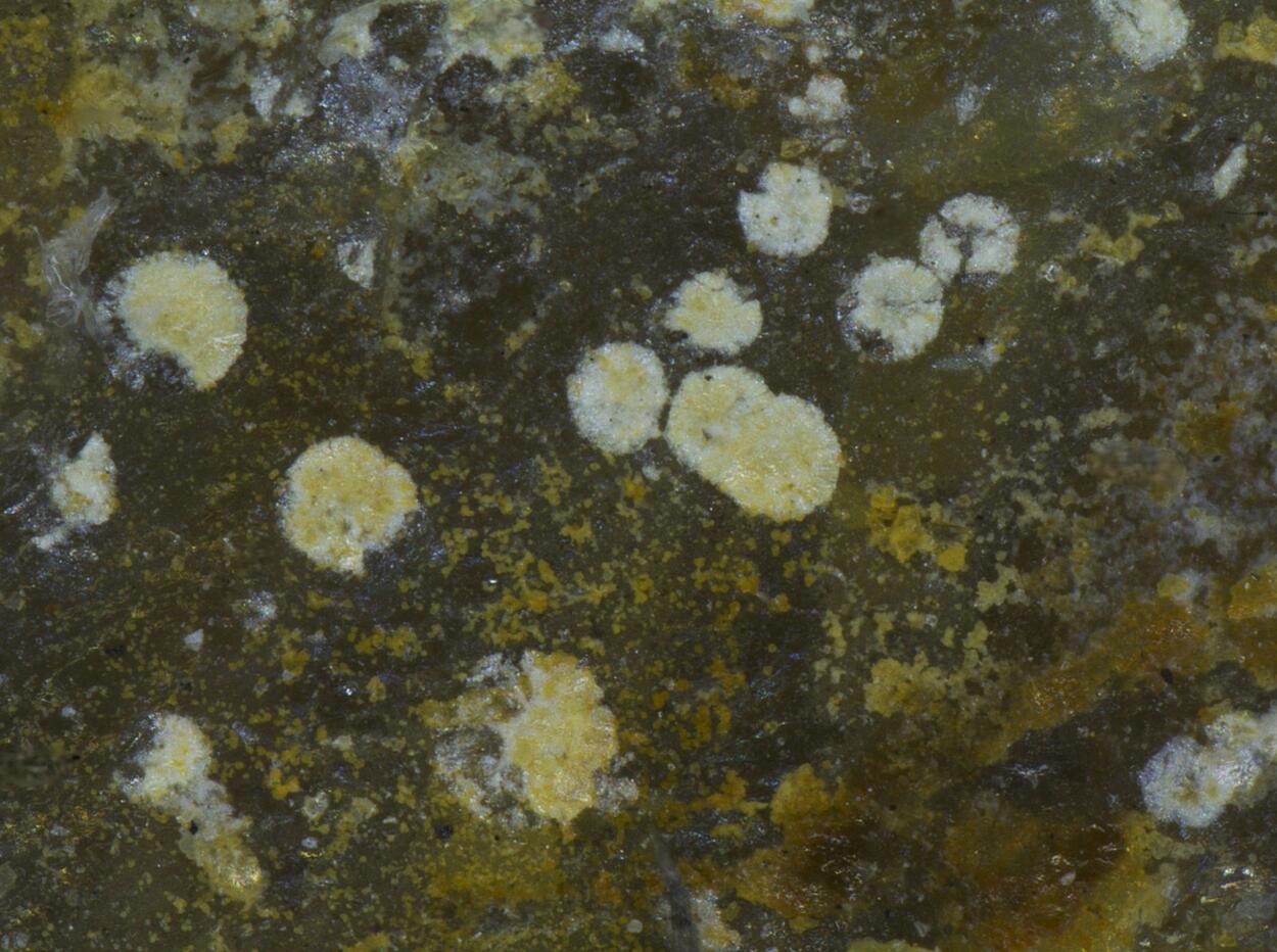 Koechlinite & Bismutite