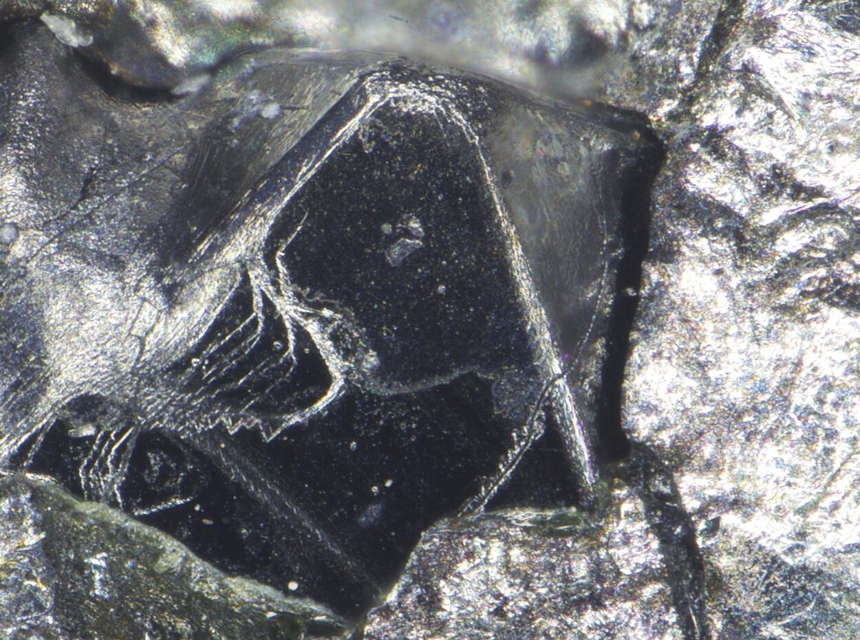 Sperrylite & Cabriite